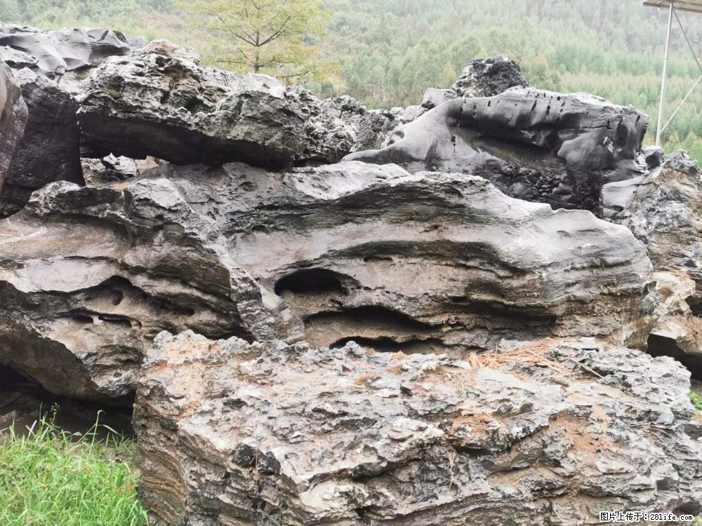 风景石、假山石大量有货，有需要的欢迎联系 - 新手上路 - 三明生活社区 - 三明28生活网 sm.28life.net