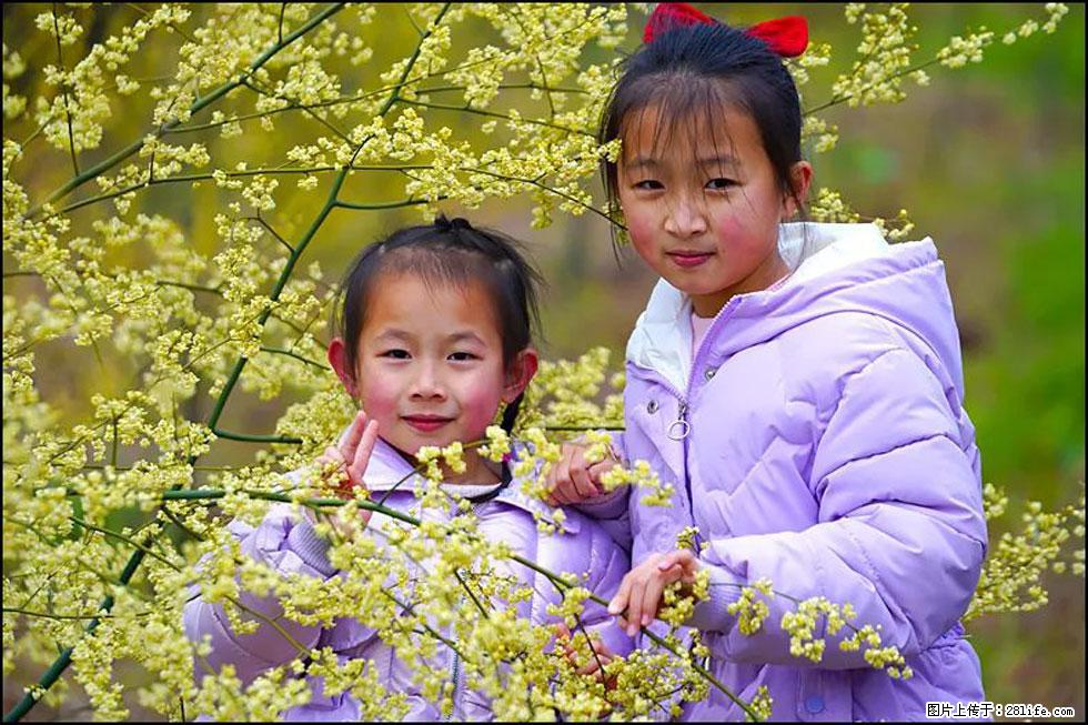 【春天，广西桂林灌阳县向您发出邀请！】米珠山前有片山苍子花在飘香 - 游山玩水 - 三明生活社区 - 三明28生活网 sm.28life.net