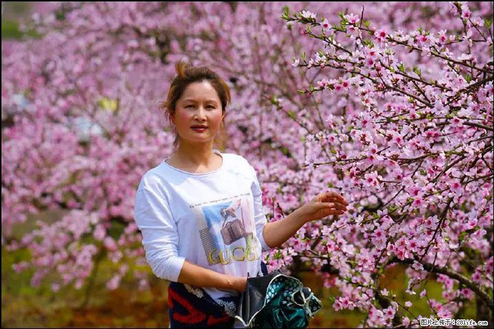 【春天，广西桂林灌阳县向您发出邀请！】官庄村有个醉美的桃花园 - 游山玩水 - 三明生活社区 - 三明28生活网 sm.28life.net