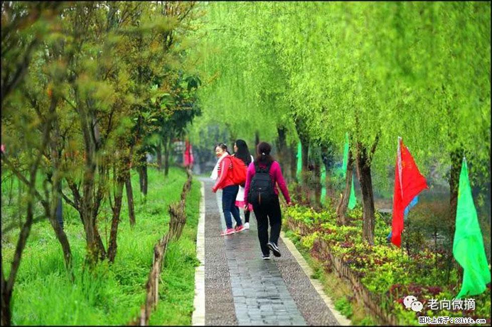 【春天，广西桂林灌阳县向您发出邀请！】江口老街又逢春 - 游山玩水 - 三明生活社区 - 三明28生活网 sm.28life.net