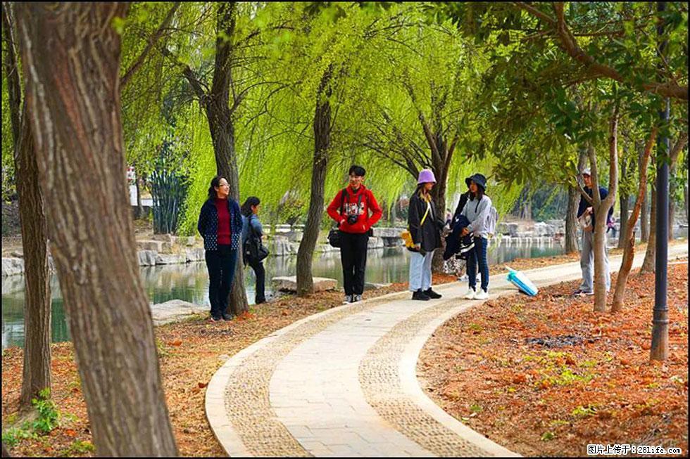【春天，广西桂林灌阳县向您发出邀请！】江口老街又逢春 - 游山玩水 - 三明生活社区 - 三明28生活网 sm.28life.net