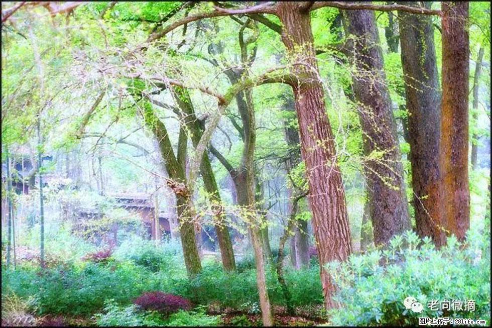 【春天，广西桂林灌阳县向您发出邀请！】在小龙村与春天约会 - 游山玩水 - 三明生活社区 - 三明28生活网 sm.28life.net