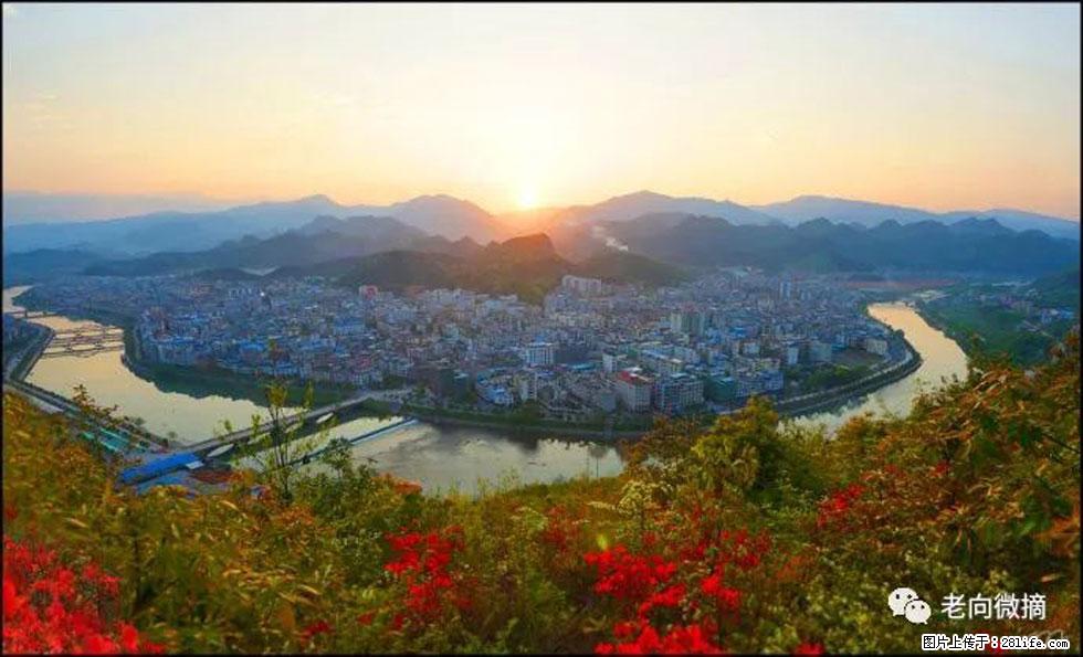 【春天，广西桂林灌阳县向您发出邀请！】登麒麟山，相约映山红 - 游山玩水 - 三明生活社区 - 三明28生活网 sm.28life.net