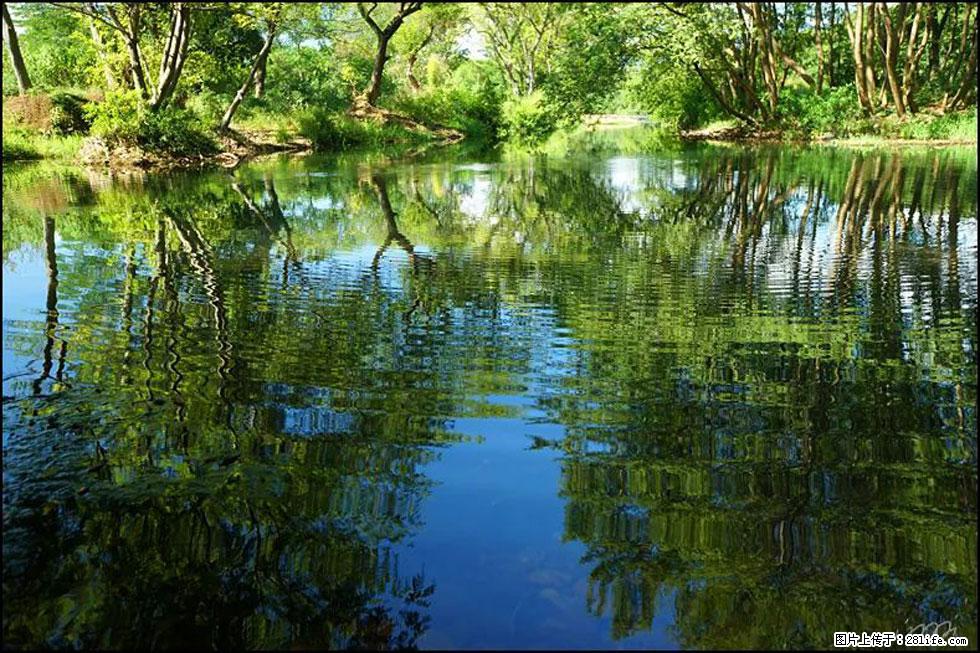【春天，广西桂林灌阳县向您发出邀请！】熊家寨湿地公园 - 游山玩水 - 三明生活社区 - 三明28生活网 sm.28life.net