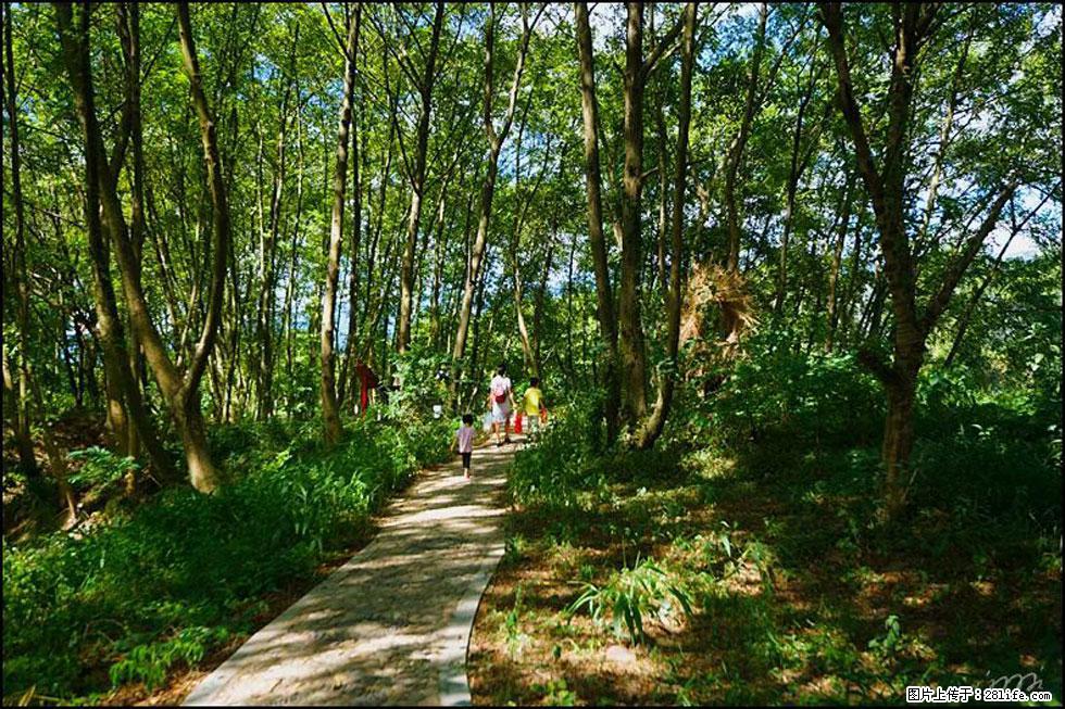 【春天，广西桂林灌阳县向您发出邀请！】熊家寨湿地公园 - 游山玩水 - 三明生活社区 - 三明28生活网 sm.28life.net