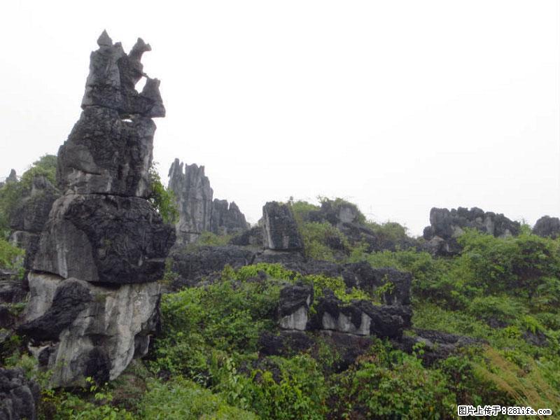 桂林旅游名城景点：灌阳文市石林 - 游山玩水 - 三明生活社区 - 三明28生活网 sm.28life.net