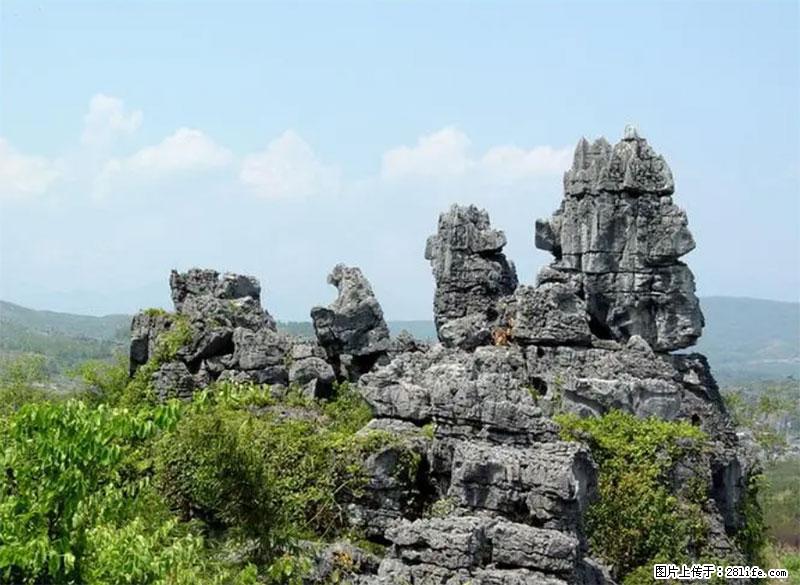 桂林旅游名城景点：灌阳文市石林 - 游山玩水 - 三明生活社区 - 三明28生活网 sm.28life.net