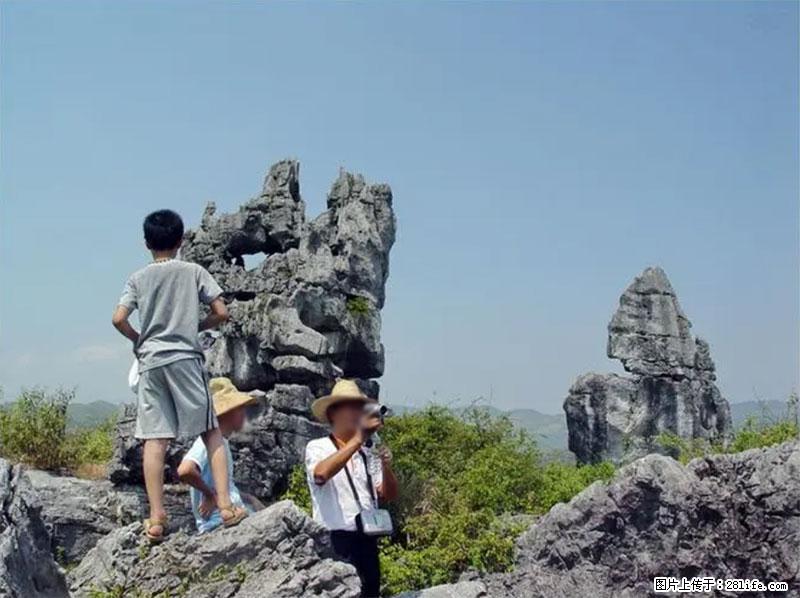 桂林旅游名城景点：灌阳文市石林 - 游山玩水 - 三明生活社区 - 三明28生活网 sm.28life.net