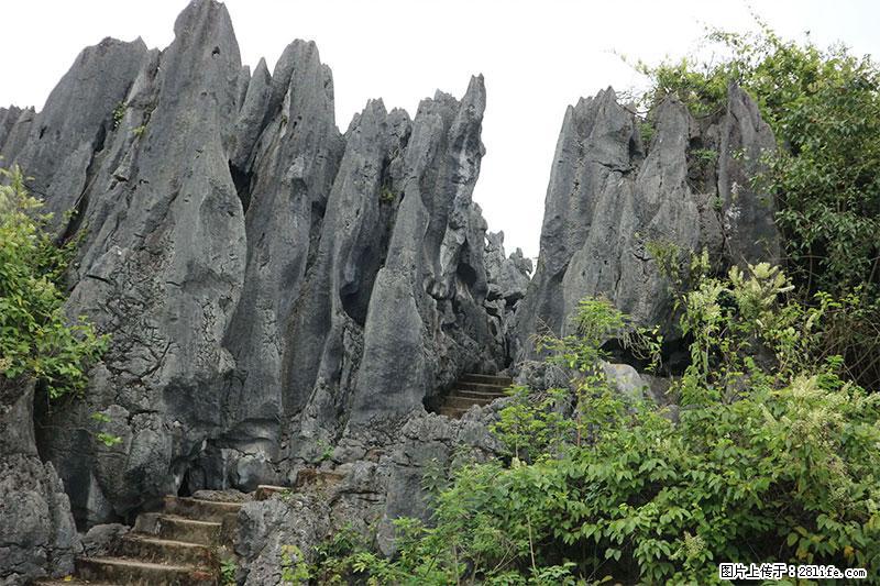 桂林旅游名城景点：灌阳文市石林 - 游山玩水 - 三明生活社区 - 三明28生活网 sm.28life.net