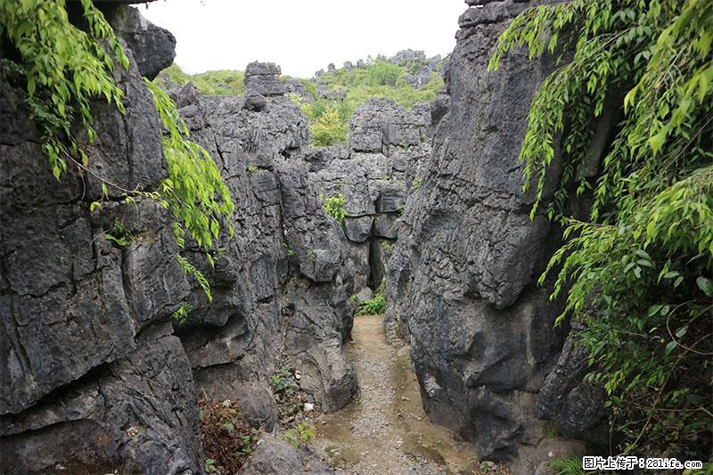 桂林旅游名城景点：灌阳文市石林 - 游山玩水 - 三明生活社区 - 三明28生活网 sm.28life.net