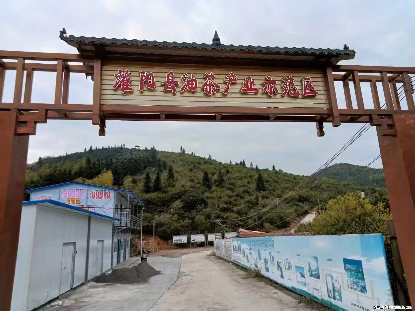 【灌阳县油茶产业示范区】一个有着充实的精神生活的人，对待身外之物自会有一种淡泊的态度 - 土特产 - 饮食特产 - 三明分类信息 - 三明28生活网 sm.28life.net