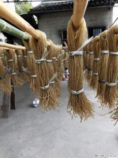 【灌阳正宗红薯粉】美女家里自己做的，干净卫生，假一赔十，价格合理，抢购电话：13737312895 - 三明28生活网 sm.28life.net