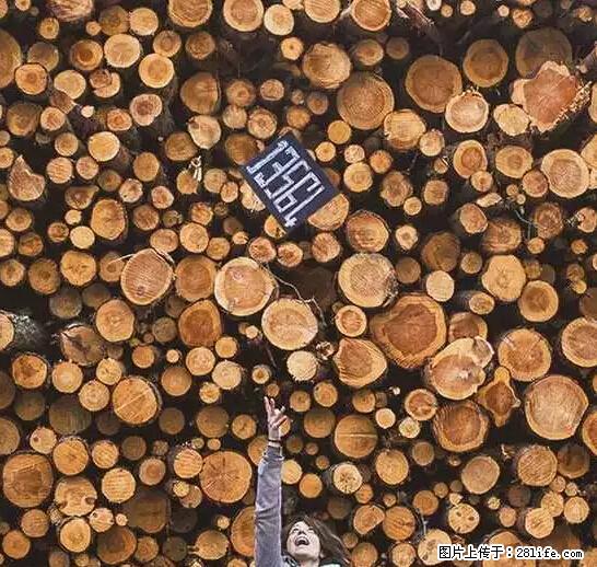 辞掉工作周游世界？现在他们在洗厕所…… - 游山玩水 - 三明生活社区 - 三明28生活网 sm.28life.net