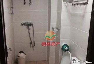 满园春独栋单身公寓，采光好，交通方便，领包入住 - 三明28生活网 sm.28life.net