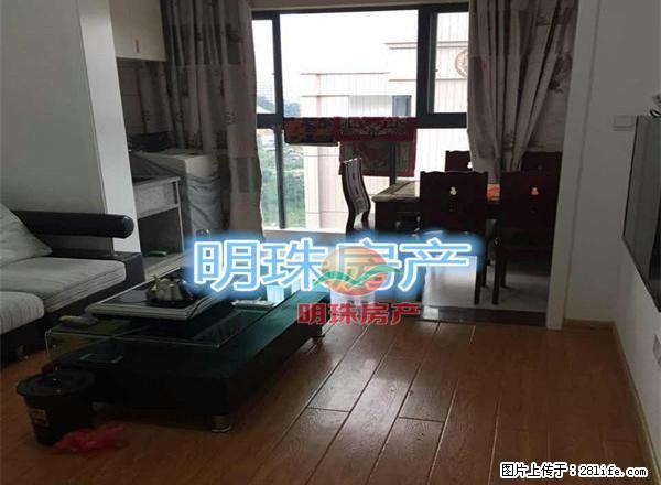 不得了，下洋左岸超大套带露台的单身公寓，光线无敌阳光无敌，赞 - 房屋出租 - 房屋租售 - 三明分类信息 - 三明28生活网 sm.28life.net