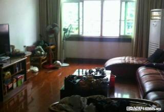 乾隆新村房子出租精装可拎包入住看房方便 - 三明28生活网 sm.28life.net