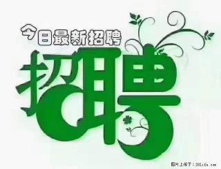 【招聘摄像师】待遇：试用期6000元/月，转正7000元/月+五险一金+餐补+节日福利+奖金 - 三明28生活网 sm.28life.net