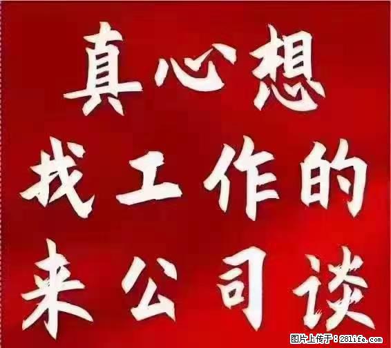 【上海】国企，医院招两名男保安，55岁以下，身高1.7米以上，无犯罪记录不良嗜好 - 职场交流 - 三明生活社区 - 三明28生活网 sm.28life.net