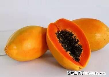 晕车、脚气、牙齿变黄、皮肤粗糙?学会这些三分钟搞定! - 三明生活资讯 - 三明28生活网 sm.28life.net
