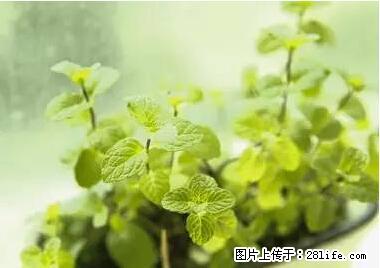 晕车、脚气、牙齿变黄、皮肤粗糙?学会这些三分钟搞定! - 三明生活资讯 - 三明28生活网 sm.28life.net