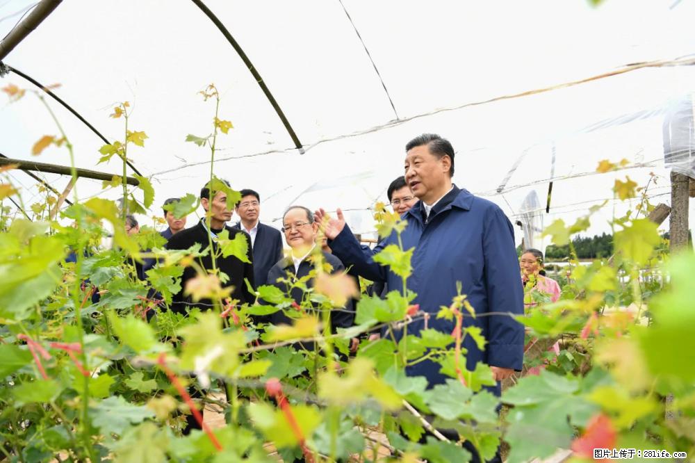 习近平赴广西考察调研 - 三明生活资讯 - 三明28生活网 sm.28life.net