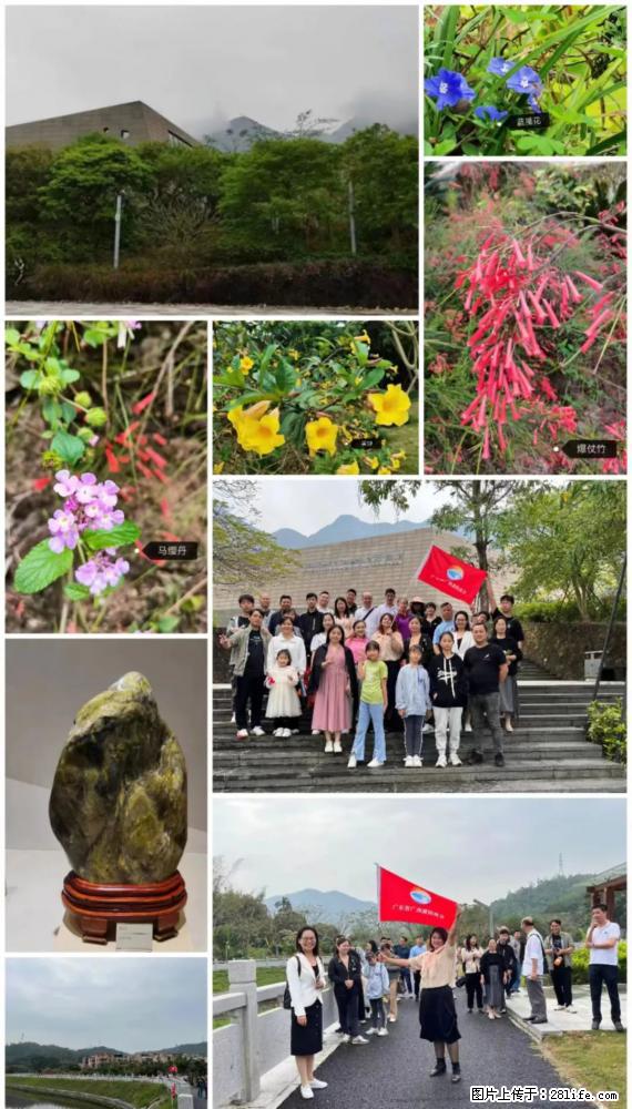 “粤灌文化 美好生活”油茶文化主题活动在广东深圳成功举办 - 三明生活资讯 - 三明28生活网 sm.28life.net