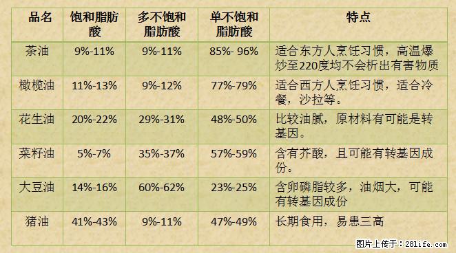 揭秘茶油的5大核心营养成分！被称为人体健康的“守护盾”！ - 三明生活资讯 - 三明28生活网 sm.28life.net