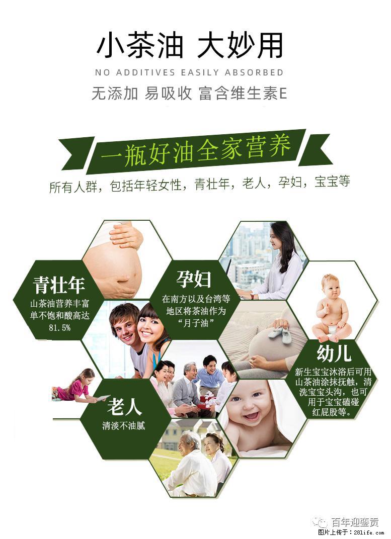 世界没有真相，只有认知，最好的食用油是中国的山茶油！ - 三明生活资讯 - 三明28生活网 sm.28life.net