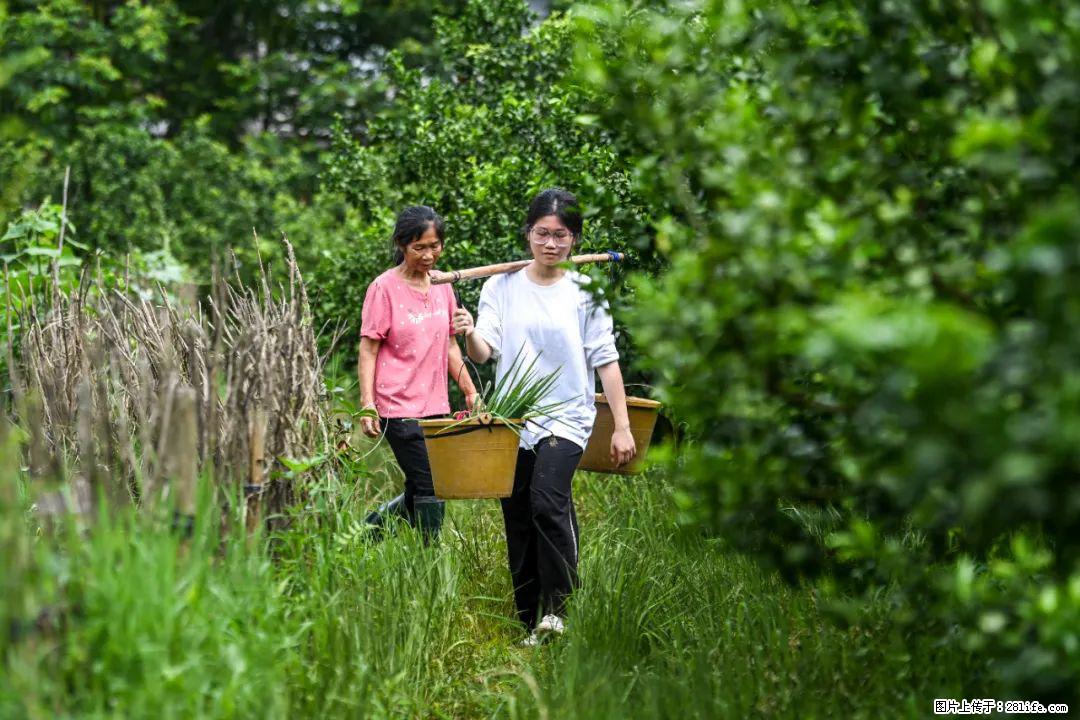 全网追的“扁担女孩”，找了一份暑假工，时薪12元 - 三明生活资讯 - 三明28生活网 sm.28life.net