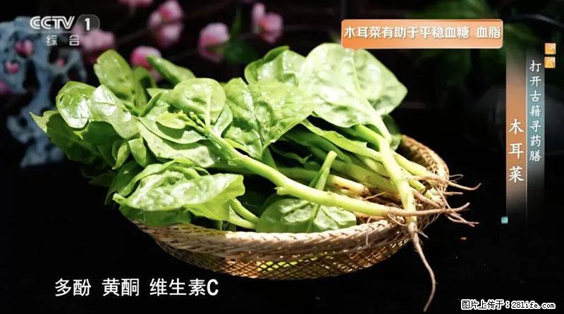 比牛奶补钙还厉害！凉血解毒、稳血糖...这菜冬天必吃，很多人却当草 - 三明生活资讯 - 三明28生活网 sm.28life.net