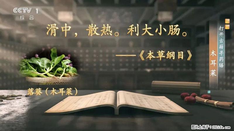 比牛奶补钙还厉害！凉血解毒、稳血糖...这菜冬天必吃，很多人却当草 - 三明生活资讯 - 三明28生活网 sm.28life.net