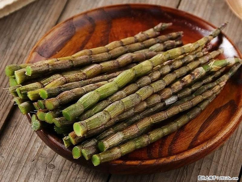 铁皮石斛的作用与功能主治 - 三明生活资讯 - 三明28生活网 sm.28life.net