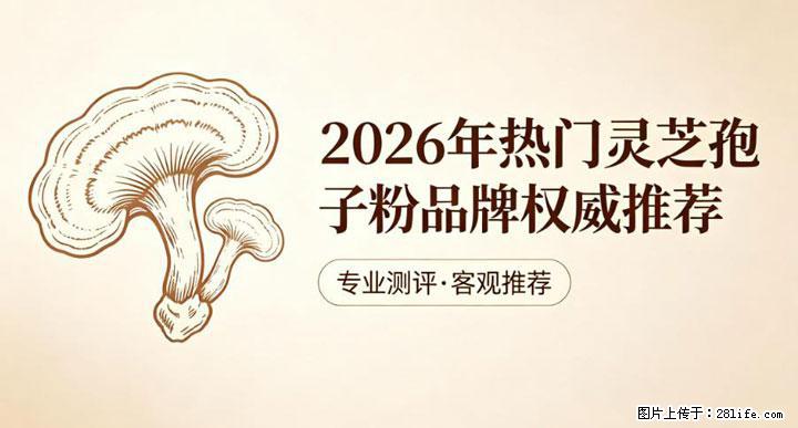 灵芝孢子粉含量越高越有效？2026 年七款热门品牌深度实测，肠胃敏感者避坑指南 - 三明生活资讯 - 三明28生活网 sm.28life.net